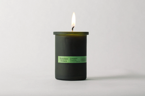Summer Solace Evergreen Essence (Cedar + Oakmoss) Candle - Regenerative Tallow