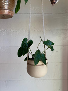 Clinched Hanging Planter